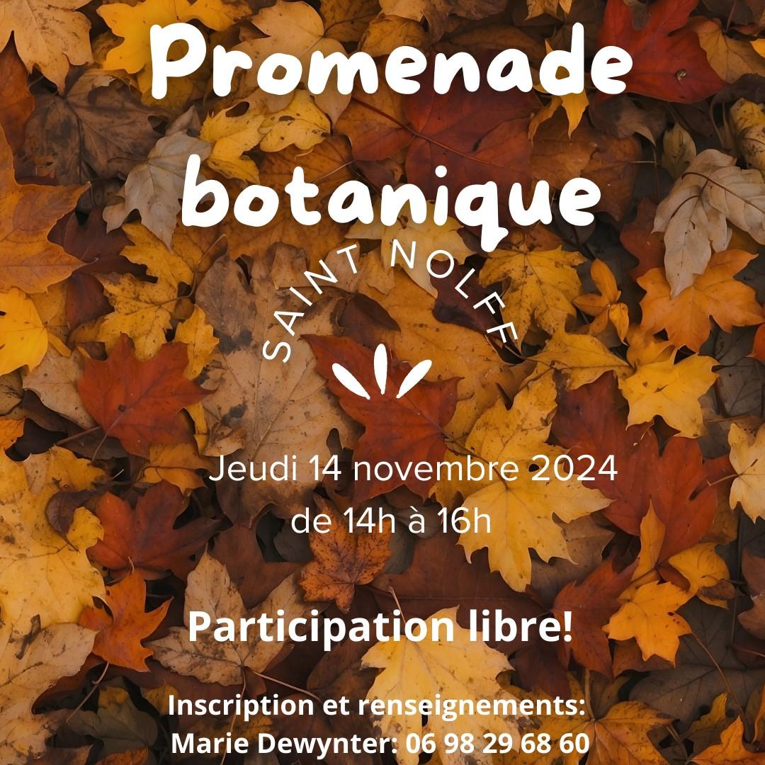 Promenade botanique 1